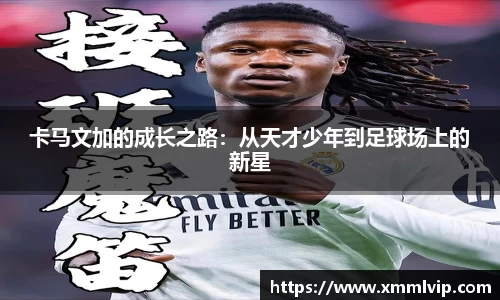 完美电竞官方网站